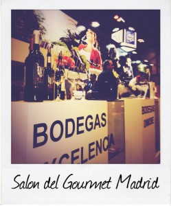 bodegas excelencia (2)